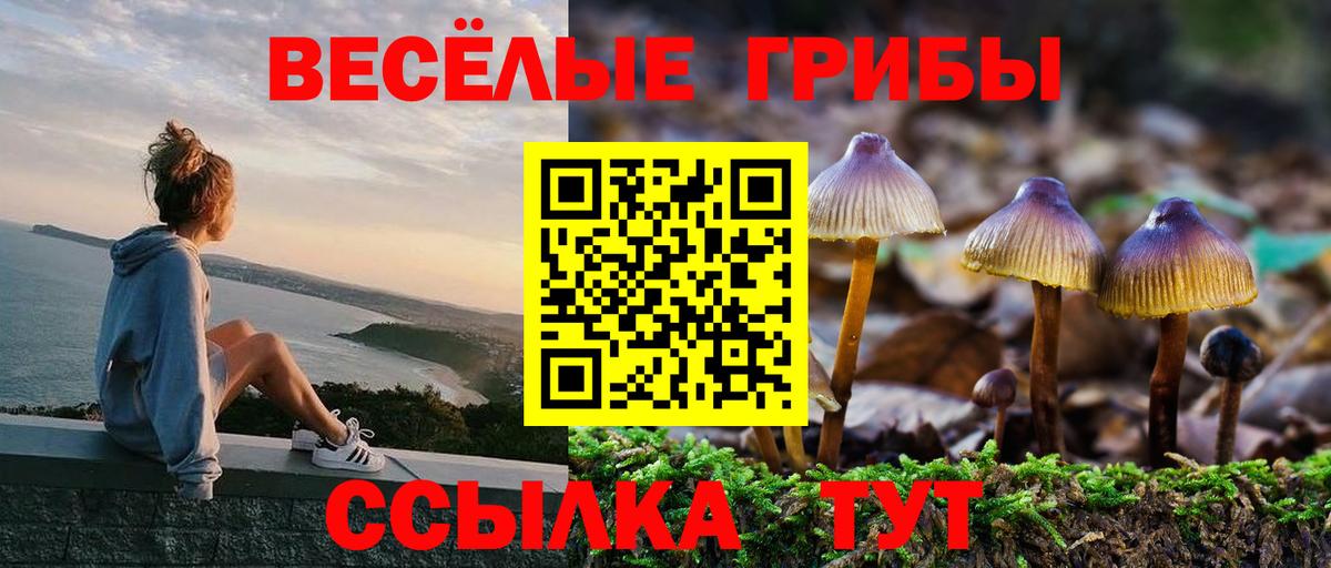 Псилоцибиновые грибы Magic Shrooms Корсаков