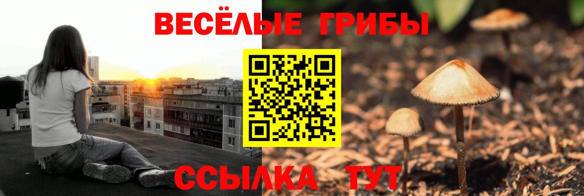 Корсаков  Галлюциногенные грибы прущие грибы  сколько стоит  Вход с VPN 